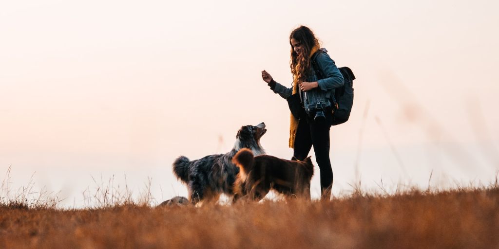 Trouver des randonnées en Gironde avec son chien