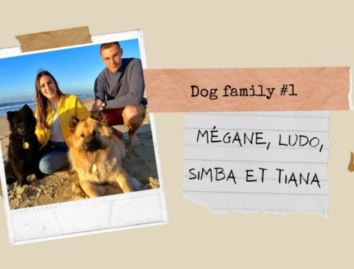 Portrait de dog family : Mégane, Ludo et leurs Eurasiers
