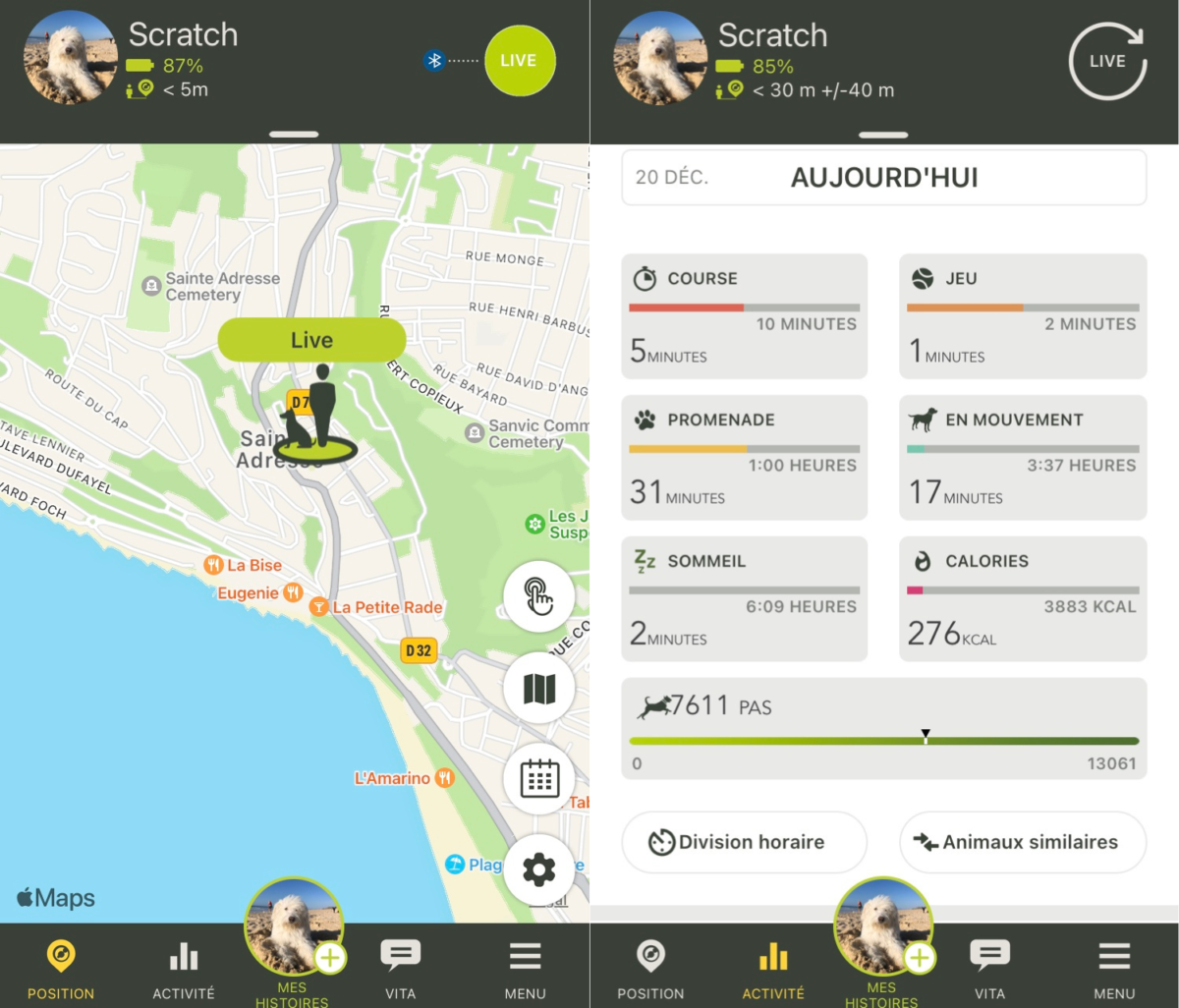 GPS Kippy - Les 10 indispensables pour partir en balade avec son chien