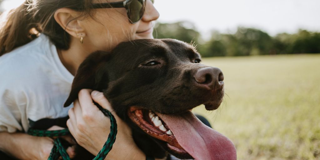 Pet sitter à Bordeaux