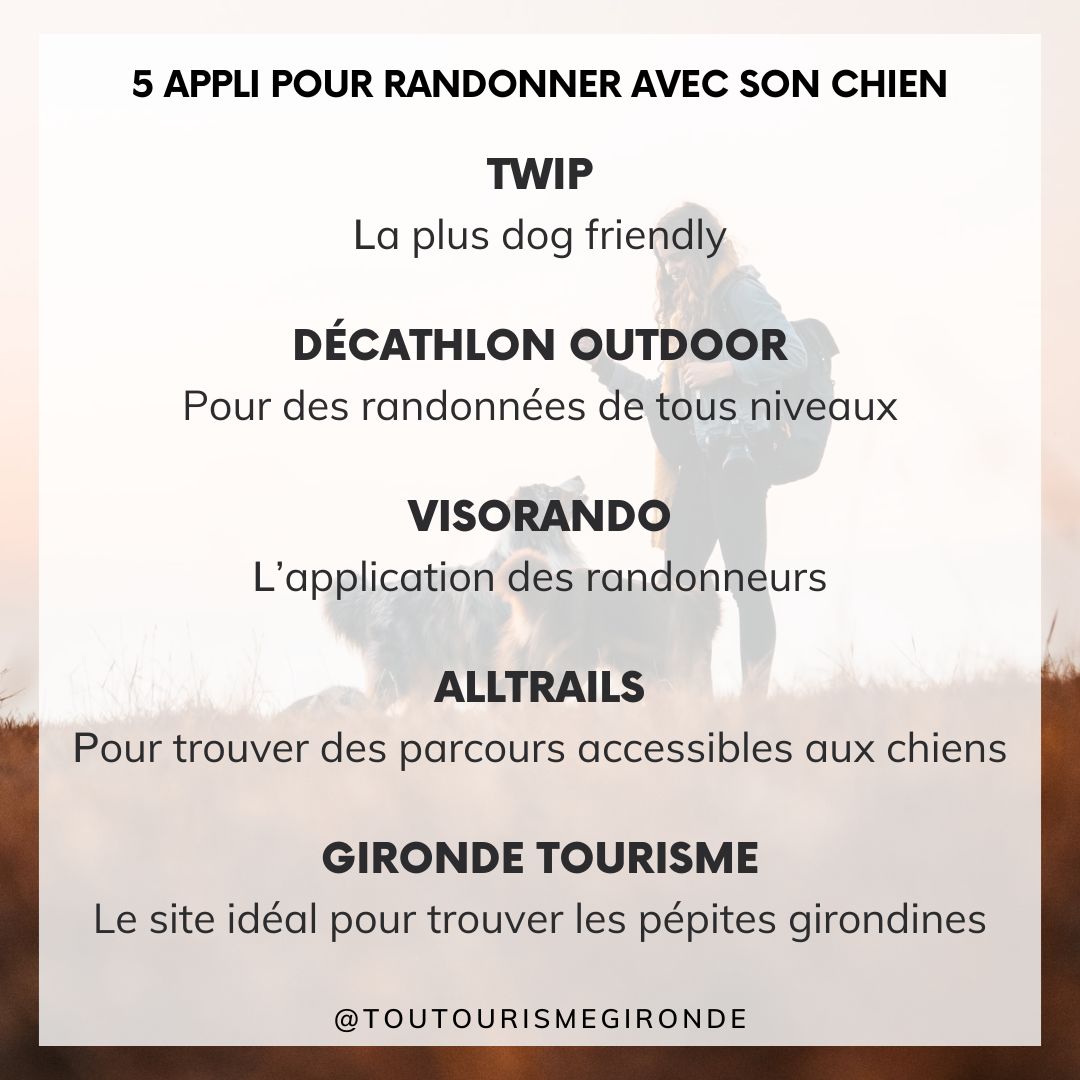 5 appli pour des randonnées en Gironde avec son chien