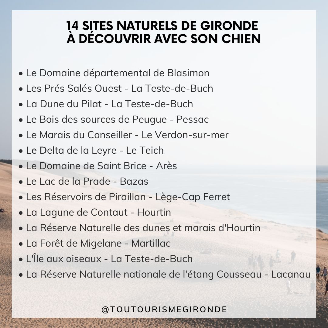 14 sites naturels de Gironde où randonner avec son chien