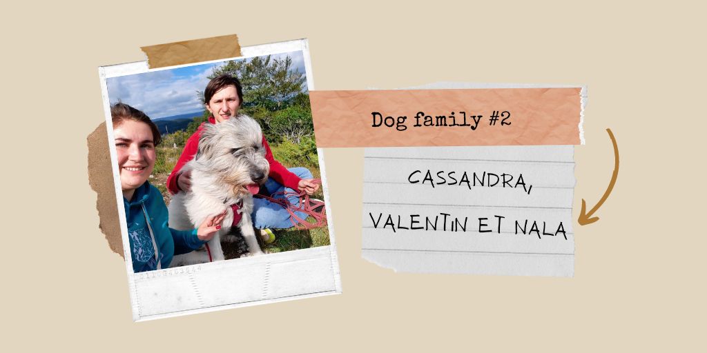 Dog family #2 : Cassandra, Valentin et Nala - chien adoption Roumanie
