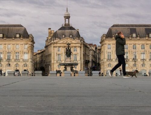 Bordeaux, une ville qui agit pour le bien être animal