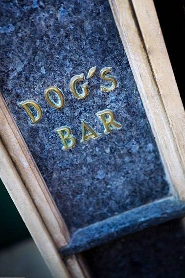Dog's bar in Bordeaux. Bar a chien à Bordeaux.