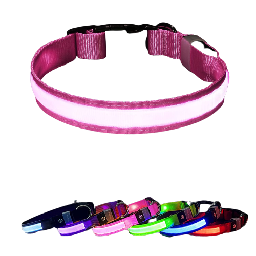 Collier lumineux - accessoires pour chien