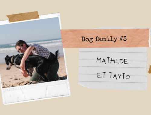 Toutourisme Gironde : dog family #2 Mathilde et Tayto