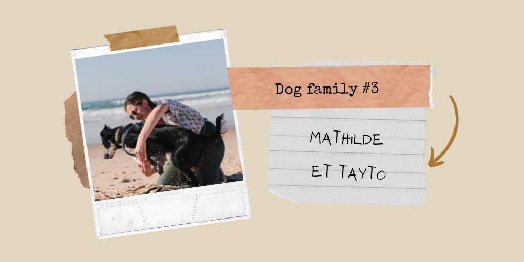 Dog family #3 : Mathilde et son border collie Tayto