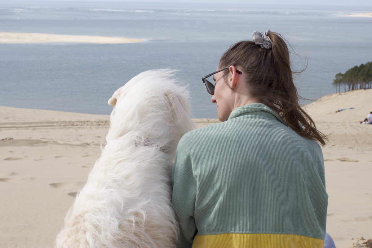 Dune du Pilat avec son chien - Toutourisme Gironde