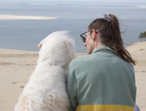 Dune du Pilat avec son chien - Toutourisme Gironde