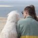 Dune du Pilat avec son chien - Toutourisme Gironde