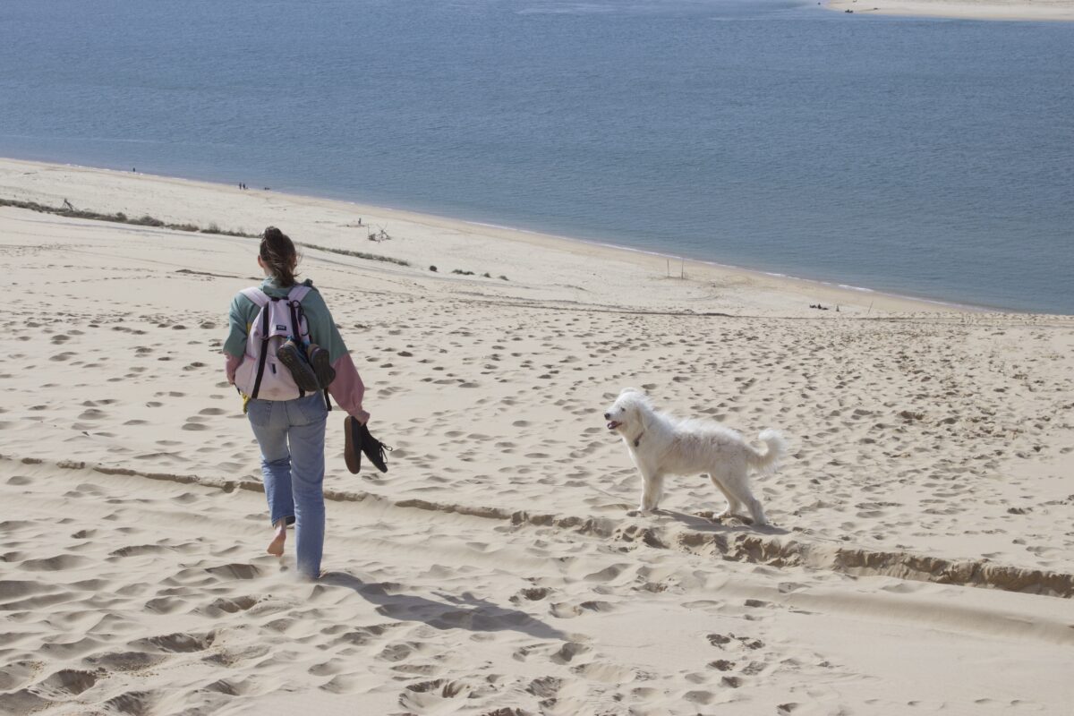 Dune du Pilat avec son chien - Toutourisme Gironde