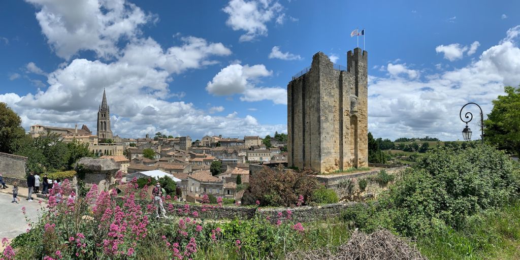 Randonnée à Saint Emilion avec son chien - Toutourisme Gironde