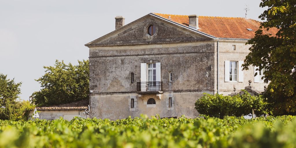 Visiter Saint-Émilion avec son chien : les châteaux accessibles aux chiens