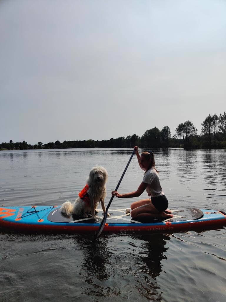 Comment faire du paddle avec son chien ?