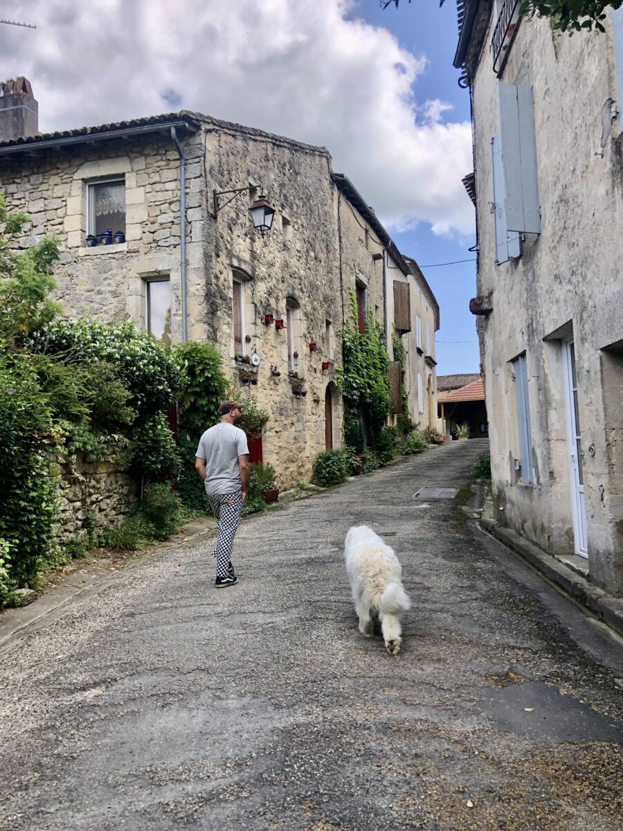 Visiter Castelmoron d'Albret avec son chien