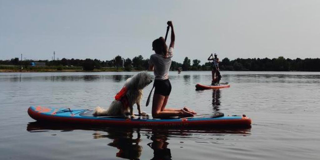 Cani paddle à Cestas