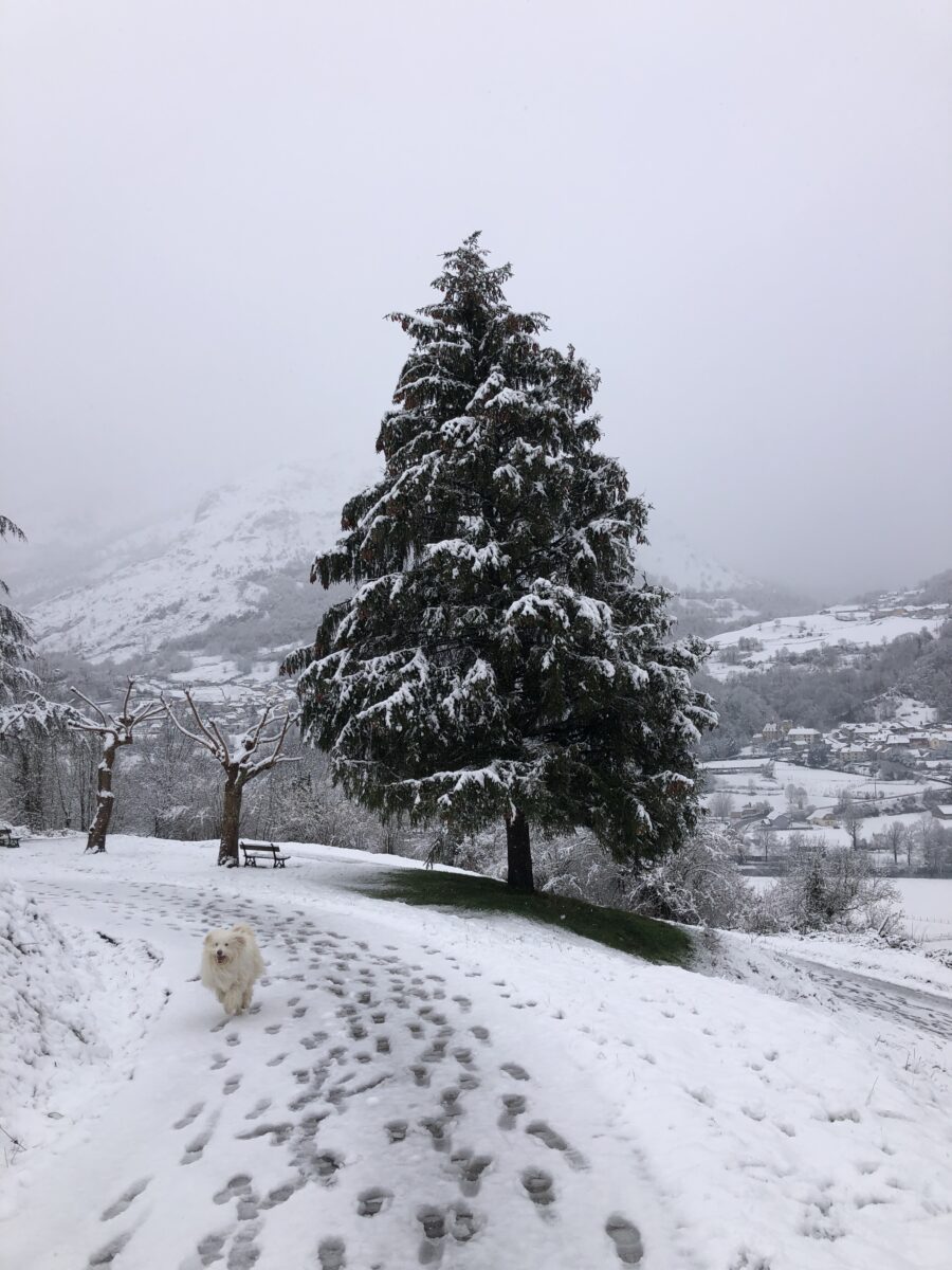 Les hauts de Laruns