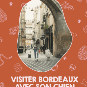 Visiter Bordeaux avec son chien - le guide dog friendly par Céline Hauchard- Canitourisme Gironde