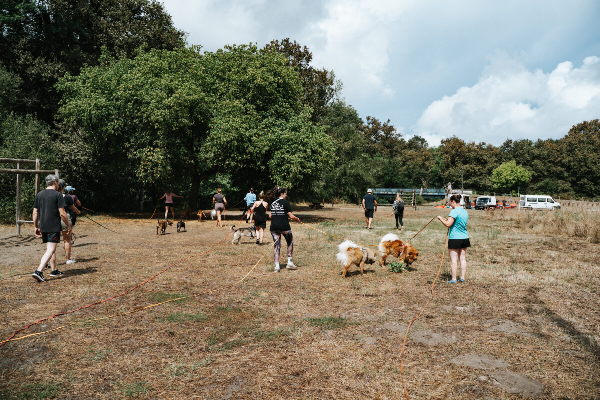 DogSquad Gironde