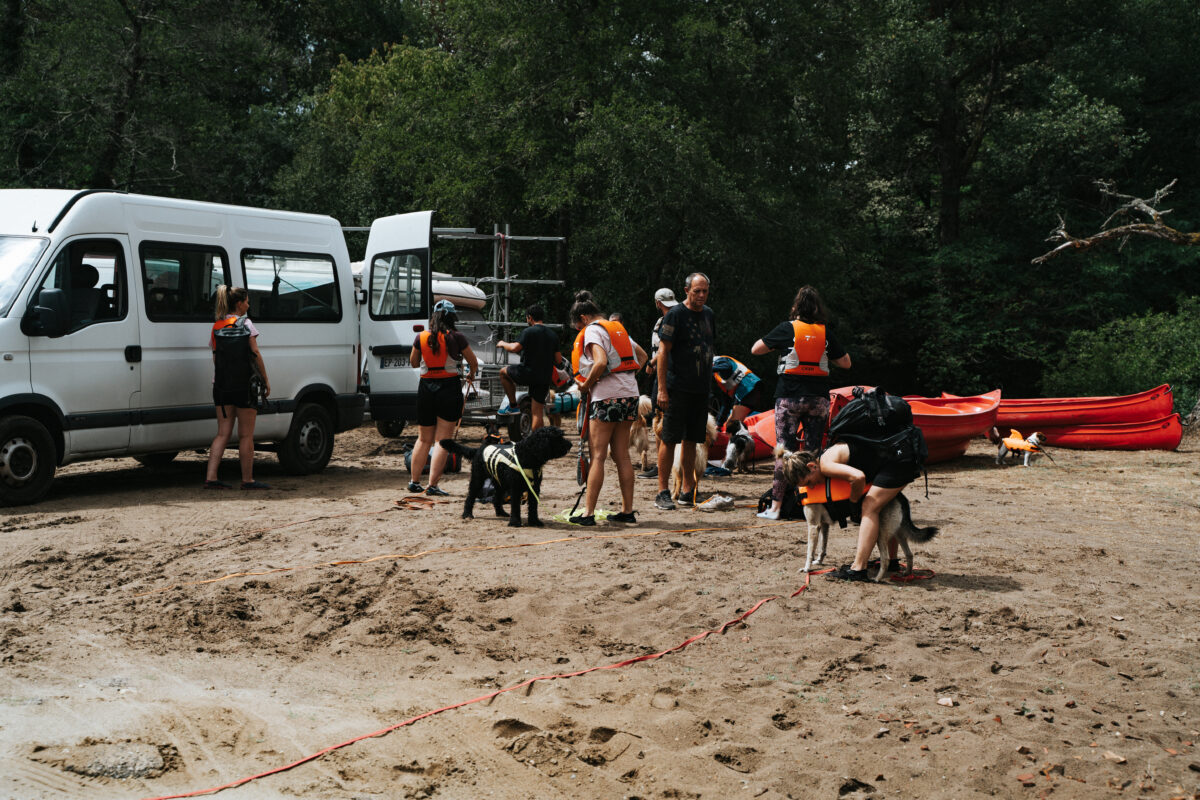 DogSquad Gironde