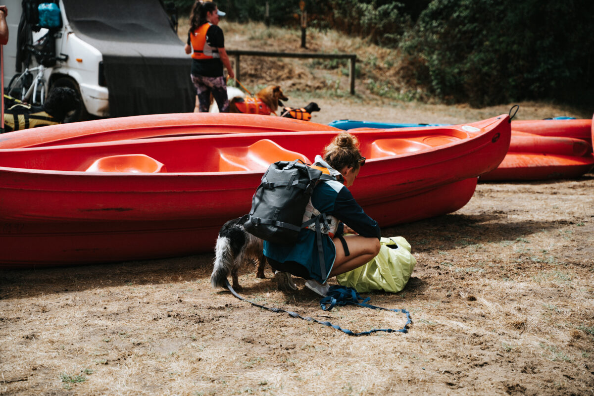DogSquad Gironde