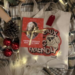 Pack guide + tote bag Noël