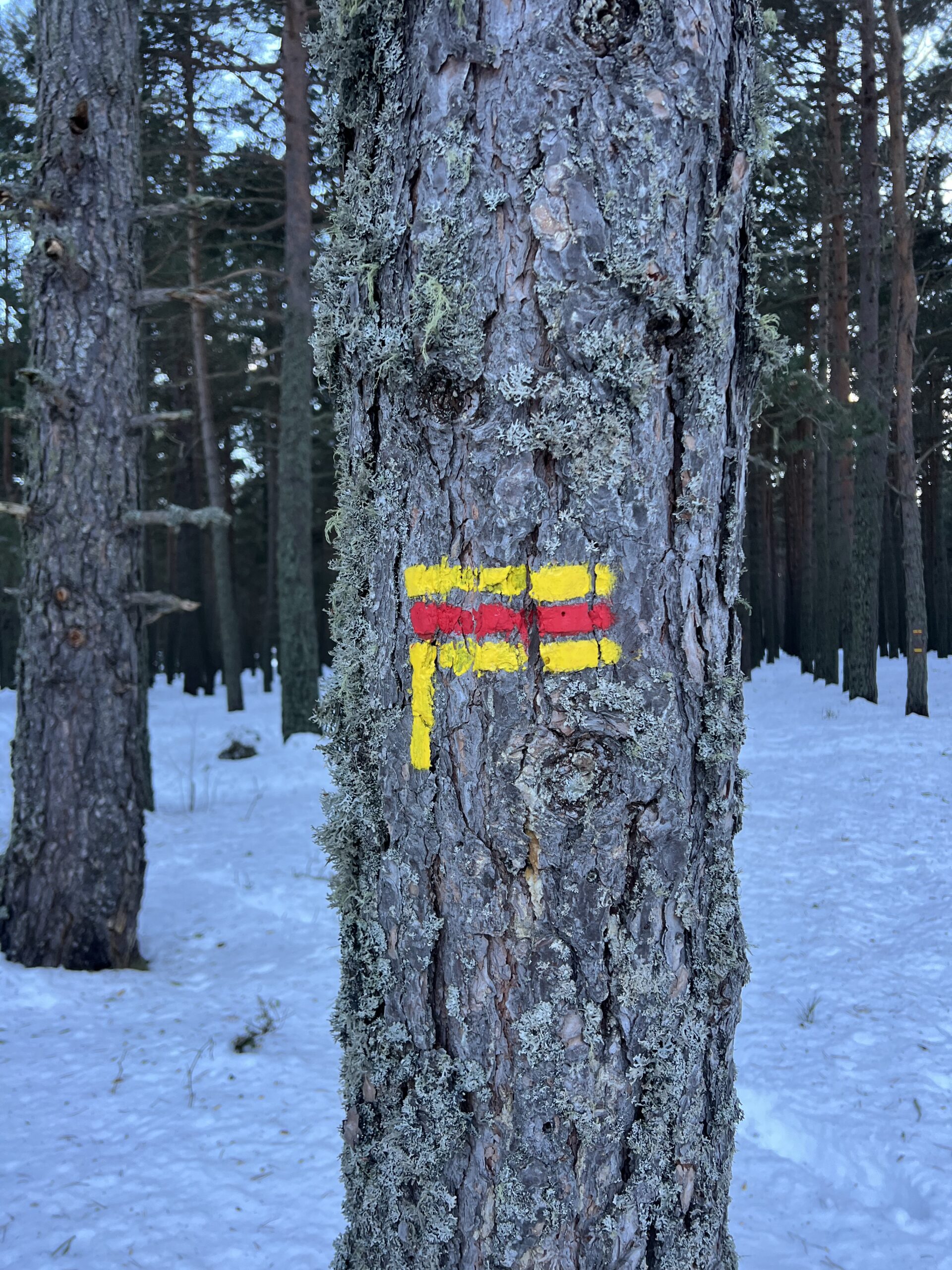 Balisage randonnée : PR