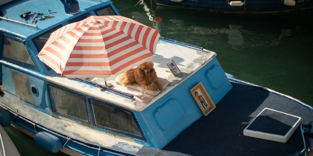 Plages bassin d'arcachon chien