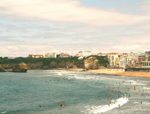 plages pays basque chien