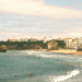 plages pays basque chien