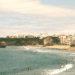 plages pays basque chien