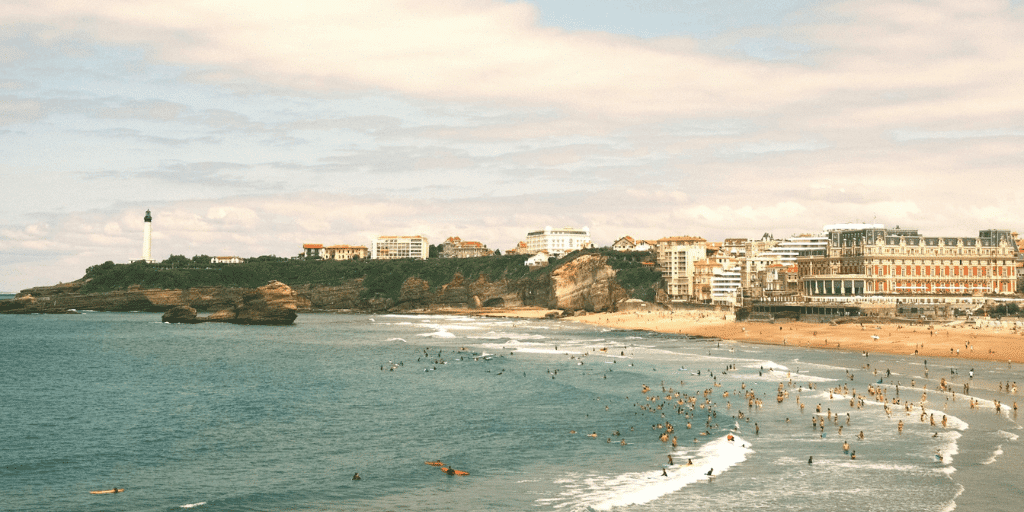 plages pays basque chien